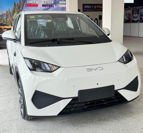 BYD SEAGULL FLYING EDITION  2025